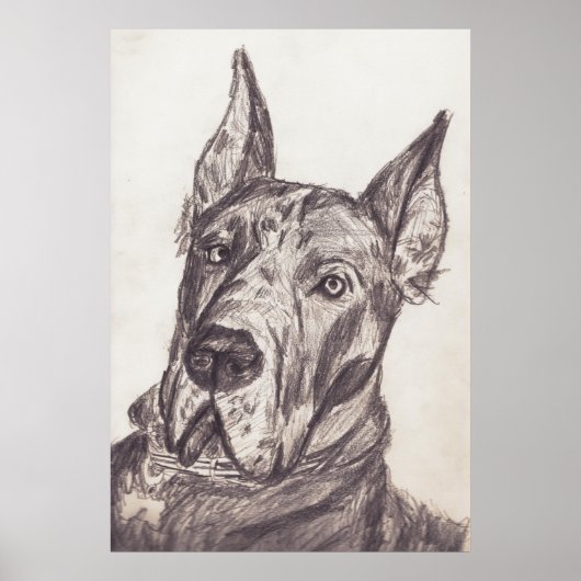 pharoah sk3 str poster (Voorkant)