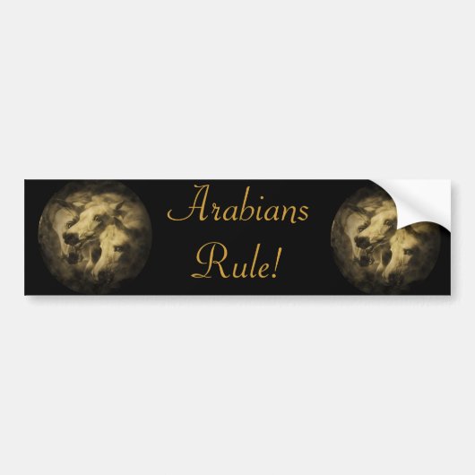 Pharoah's paarden bumpersticker (Voorkant)