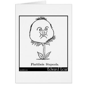 Phattfacia Stupenda.