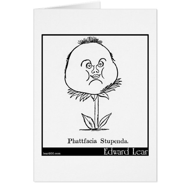 Phattfacia Stupenda. (Voorkant)