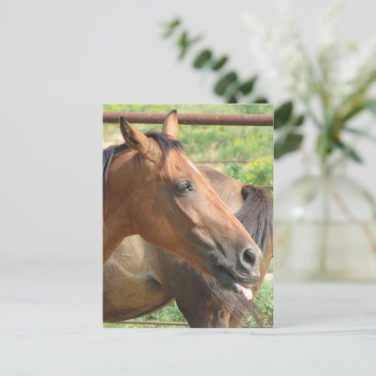 Phbttttt!!! Briefkaart (Staand voorkant)