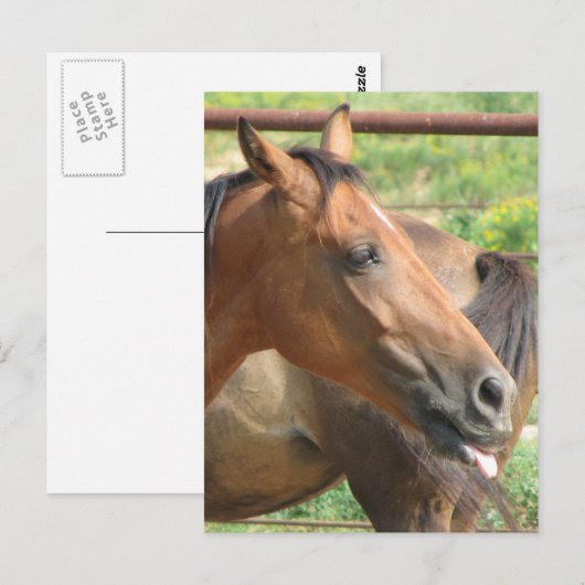 Phbttttt!!! Briefkaart (Voorkant / Achterkant)