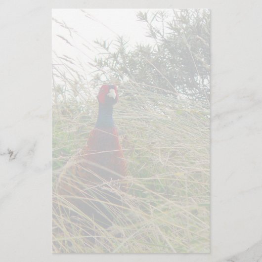 Pheantastisch Briefpapier (Voorkant)