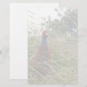 Pheantastisch Briefpapier (Voorkant / Achterkant)