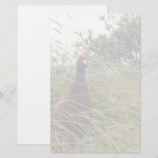 Pheantastisch Briefpapier (Voorkant / Achterkant)