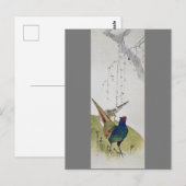 Pheasant and Weeping Cherry Tree, Watanabe Seitei Briefkaart (Voorkant / Achterkant)