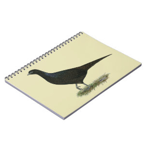 Pheasant Black Hen Notitieboek