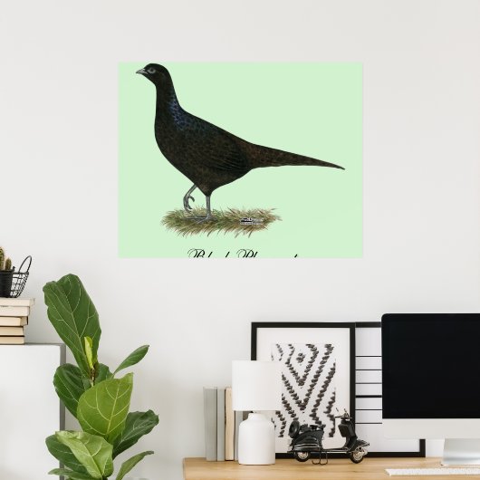 Pheasant Black Hen Poster (Thuiskantoor)