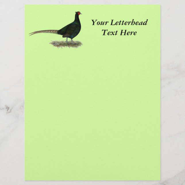 Pheasant Black Rooster (Voorkant)