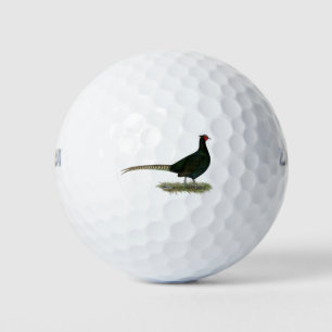 Pheasant Black Rooster Golfballen