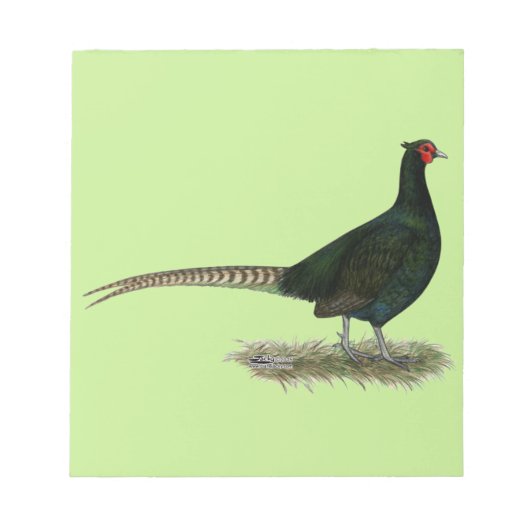 Pheasant Black Rooster Notitieblok (Voorkant)