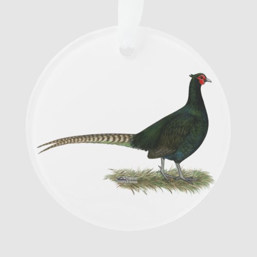 Pheasant Black Rooster Ornament (voorkant)
