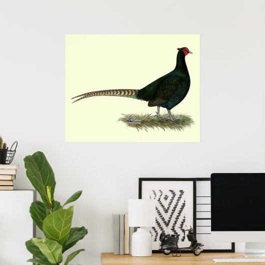Pheasant Black Rooster Poster (Thuiskantoor)