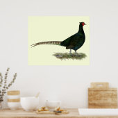 Pheasant Black Rooster Poster (Keuken)