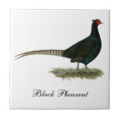 Pheasant Black Rooster Tegeltje (Voorkant)