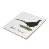 Pheasant Black Rooster Tegeltje (Zijkant)
