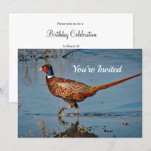 Pheasant Blue Water Foto van Birthday Kaart