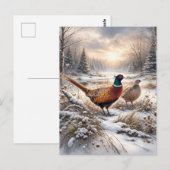 Pheasant  briefkaart (Voorkant / Achterkant)