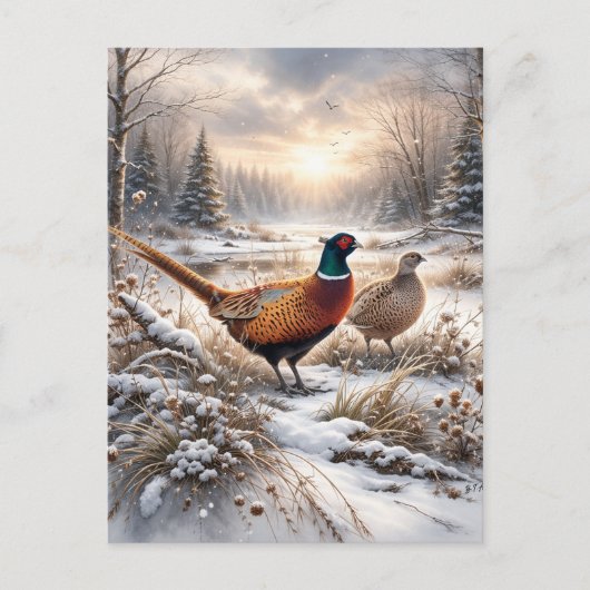Pheasant  briefkaart (Voorkant)