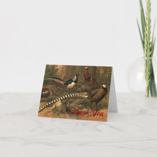 Pheasant dank u briefkaart (Voorkant)