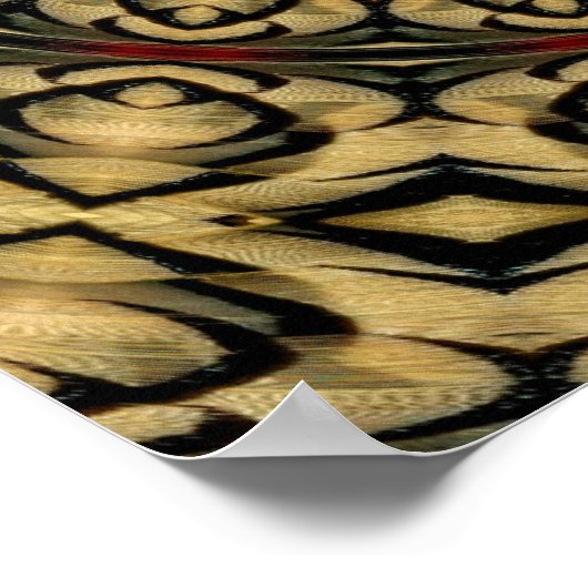 Pheasant Feathers Kaleidoscope Poster (Hoek)