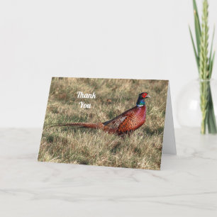 Pheasant foto Dank u Feestdagen Kaart