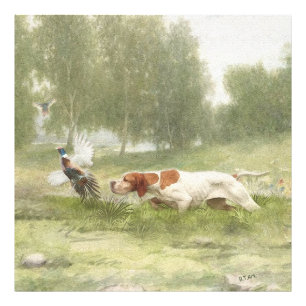 Pheasant Hunting met Pointer Foto Afdruk