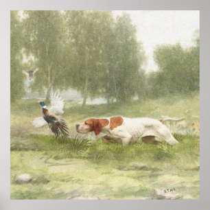 Pheasant Hunting met Pointer Poster