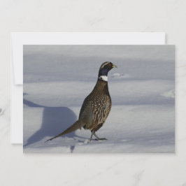 Pheasant in de sneeuw - plat Wenskaart Kaart