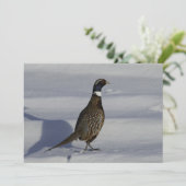 Pheasant in de sneeuw - plat Wenskaart Kaart (Staand voorkant)
