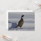Pheasant in de sneeuw - plat Wenskaart Kaart (Voorkant / Achterkant in situ)