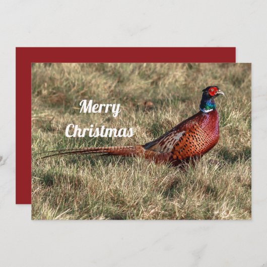 Pheasant-kerstfoto Feestdagenkaart (Voorkant / Achterkant)