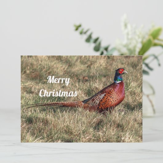 Pheasant-kerstfoto Feestdagenkaart (Staand voorkant)