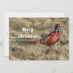 Pheasant-kerstfoto Feestdagenkaart