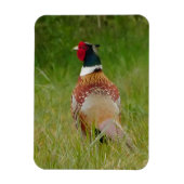 Pheasant Magnet Magneet (Verticaal)