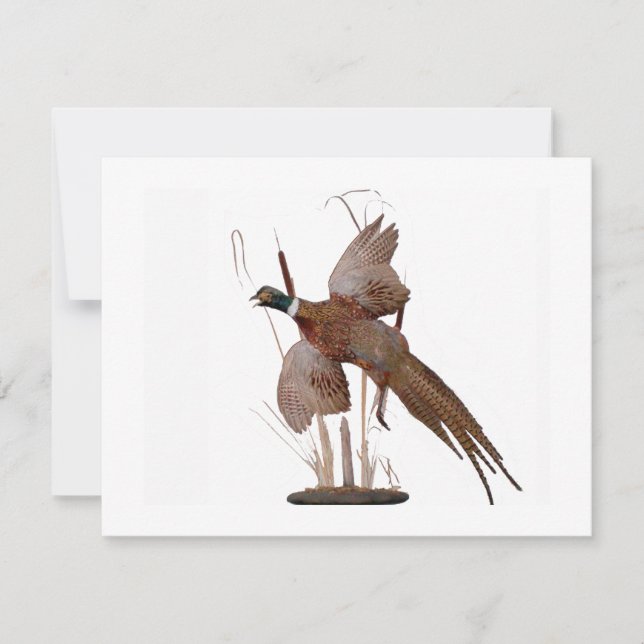 Pheasant Mount (Voorkant)