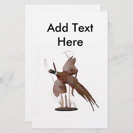 Pheasant Mount (Voorkant / Achterkant)