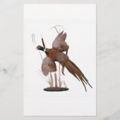 Pheasant Mount (Voorkant)