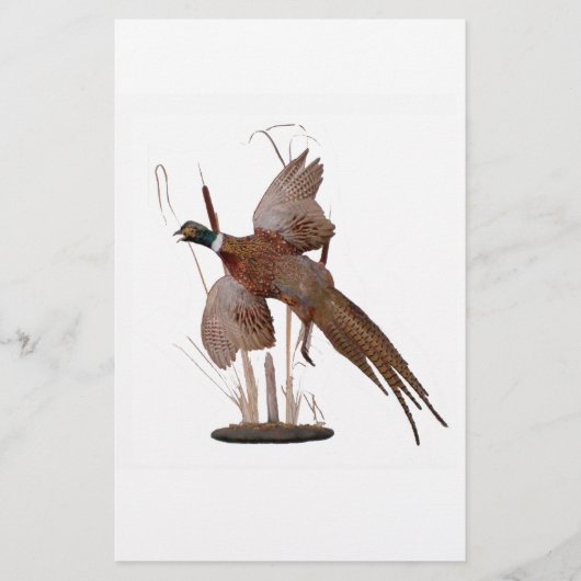 Pheasant Mount (Voorkant)