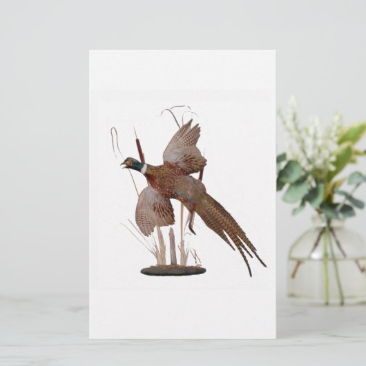Pheasant Mount (Staand voorkant)