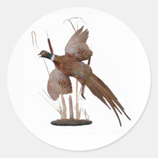 Pheasant Mount Ronde Sticker