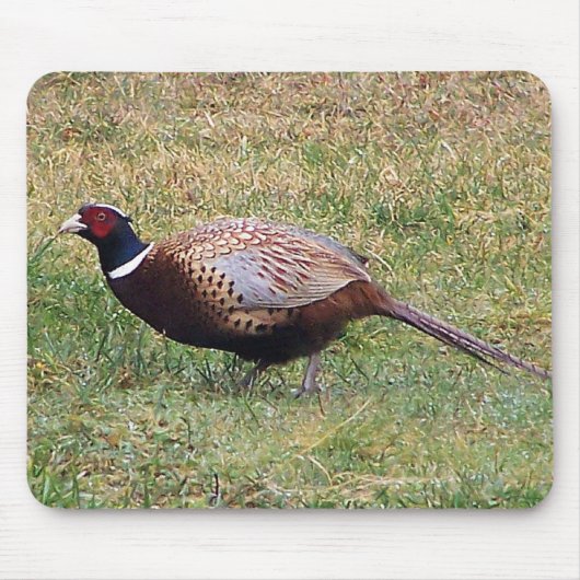 Pheasant Mousepad Muismat (Voorkant)