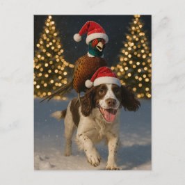 Pheasant on Springer Spaniel Christmas postcard Briefkaart