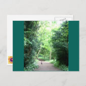 Pheasant op Woodland Path Photo Briefkaart (Voorkant / Achterkant)