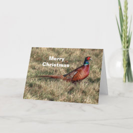 Pheasant Photo Christmas Feestdagen Kaart