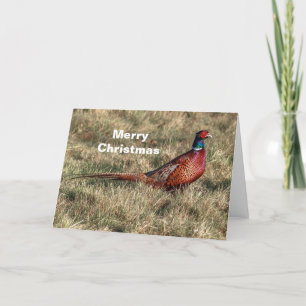 Pheasant Photo Christmas Feestdagen Kaart