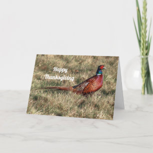 Pheasant Photo Thanksgiving Feestdagen Kaart