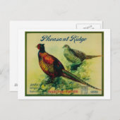 Pheasant Ridge Apple Crate Label Briefkaart (Voorkant / Achterkant)