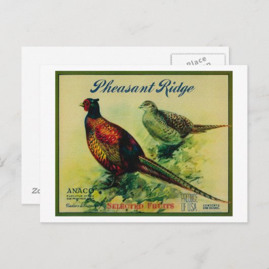 Pheasant Ridge Apple Crate Label Briefkaart (Voorkant / Achterkant)