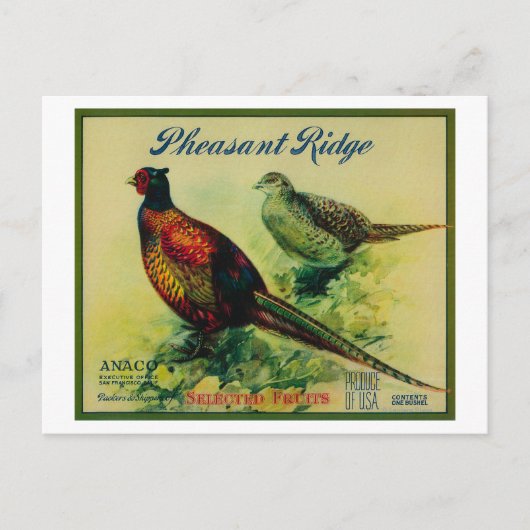 Pheasant Ridge Apple Crate Label Briefkaart (Voorkant)